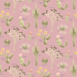 Mojave Desert Cacti -kuvio, 2021 (grafiittikynä ja digitaalinen) tekijältä Stacy Hsu