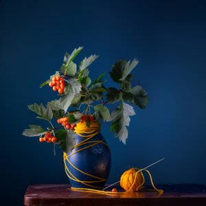 Orapihlajan marjat ja lanka