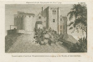 Tamworth Castle: kaiverrus, nd [c 1799] (painettu) tekijältä Stebbing Shaw