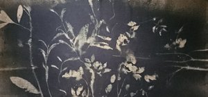 Varjopuutarhan kukinta
