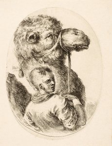 Poika pitelee kamelia suitseista, useista Heads Coiffées à la Persienne -pubista. vs. 1650 (kaiverrus) tekijältä Stefano della Bella