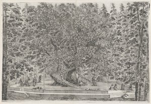 aHuikea puomi Villa Pratolinossa Villa Pratolino (sarjan nimi) Vues de la villa de Pratolino (sarjan nimi) tekijältä Stefano della Bella