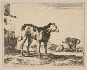Levy 11: koirat, eri eläimistä Diversi animali, n. 1641. tekijältä Stefano della Bella