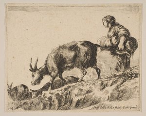 Levy 14: paimen paimen vuohia, n. 1641. tekijältä Stefano della Bella