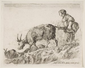 Levy 14: paimen paimen vuohia, eri eläimistä Diversi animali, n. 1641. tekijältä Stefano della Bella