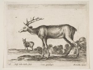 Levy 16: polttarit, eri eläimistä Diversi animali, n. 1641. tekijältä Stefano della Bella