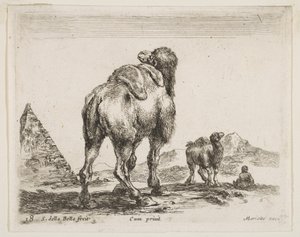 Levy 18: kameli takaa katsottuna, pyramidi vasemmalla, eri eläimistä Sukeltaja..., n. 1641. tekijältä Stefano della Bella