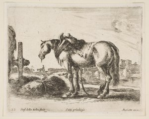 Levy 22: kärryhevonen, eri eläimistä Diversi animali, n. 1641. tekijältä Stefano della Bella