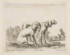 Levy 23: kaksi koiraa, eri eläimistä Diversi animali, n. 1641. tekijältä Stefano della Bella