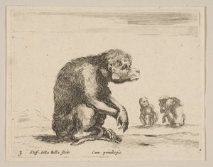 Levy 3: istuva apina, eri eläimistä Diversi animali, n. 1641. tekijältä Stefano della Bella