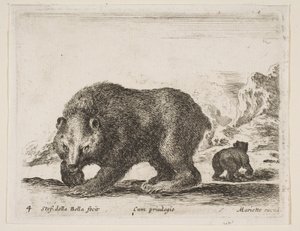 Levy 4: karhu, kirjasta "Eri eläimet" Diversi animali, 1641. tekijältä Stefano della Bella
