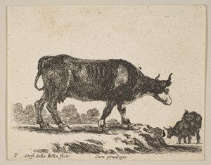 Levy 7: lehmä, eri eläimistä Diversi animali, n. 1641. tekijältä Stefano della Bella