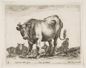 Levy 8: lehmä, eri eläimistä Diversi animali, n. 1641. tekijältä Stefano della Bella