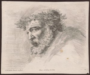 Tutkielma laakeriseppeleisen parrakkaan vanhuksen päästä, profiilissa vasemmalle kääntyneenä, sarjasta "Principii del disegno"