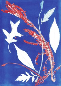 Jol I, 2017 (monoprintti paperille) tekijältä Stephen Dow
