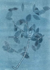 Midnight Garden I, 2015 (monoprintti paperille) tekijältä Stephen Dow