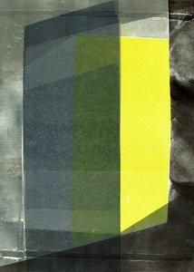 Viisto IV, 2020, monoprintti paperille.