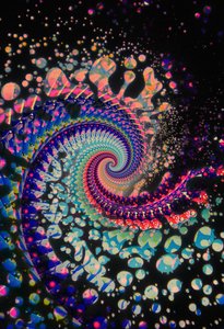 Spiral Dead, 2024