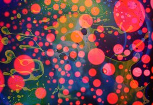 Splatter-hirviö, 2024