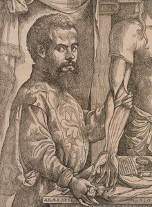 Andreas Vesalius leikkaamassa ruumiin kyynärvarren lihaksia, 1543. tekijältä Steven van Calcar