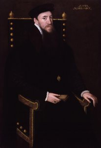 Henry Fitzalan, Arundelin 12. jaarli