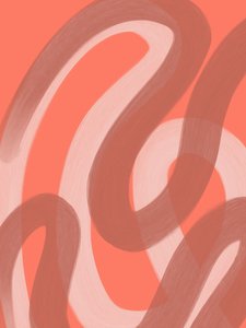 Tiivistelmä: Coral Flow
