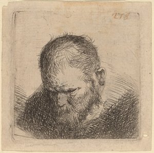 Parrakas mies katselee alas tekijältä Studio of Rembrandt van Rijn