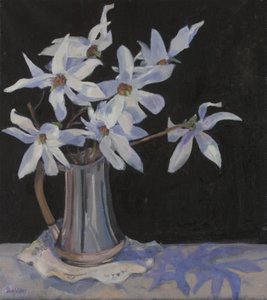 Valkoiset magnoliat hopeakannussa, 2019 tekijältä Sue Wales