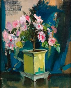 Camellia, n. 1920 (öljy paneelille) tekijältä Sunderland Rollison