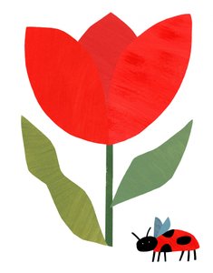 Punainen tulppaani ja leppäkerttu