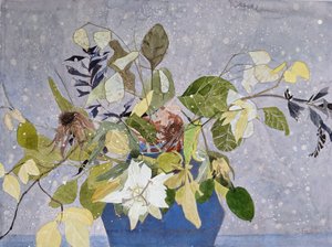  tekijältä Suzy Fasht