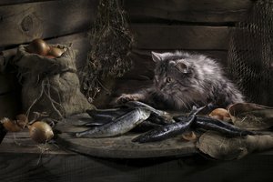 tekijältä Svetlana Pavlоvskaja