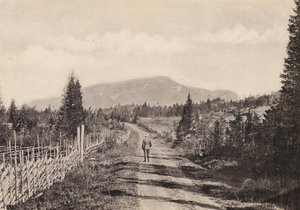 Ruotsi / Ruotsi: Jamtland, Areskutan Fran Undersaker (m/v kuva) tekijältä Swedish Photographer