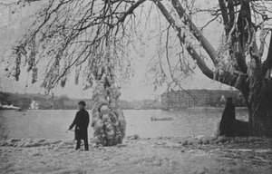 Eaux-Vivesissä Genevessä, talvi 1896 (m/v kuva) tekijältä Swiss Photographer