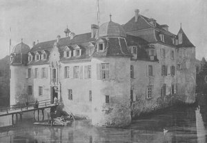 Chateau de Bottmingen, pres Bale (m/w kuva) tekijältä Swiss Photographer