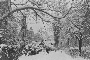 Neuchatel, englantilainen puutarha (m/w kuva) tekijältä Swiss Photographer