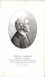 Abraham Trembley tekijältä Swiss School