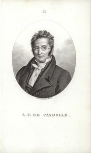 Augustin Pyramus de Candolle tekijältä Swiss School