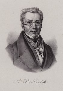 Augustin Pyramus de Candolle, sveitsiläinen kasvitieteilijä (kaiverrus) tekijältä Swiss School
