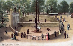 Bern, Bear Garden (väri litho) tekijältä Swiss School