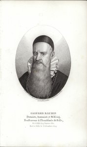 Gaspard Bauhin tekijältä Swiss School