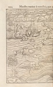 Sivu 1004, Cosmographiae Universalis, Sebastian Muenster, Basel, 1572 tekijältä Swiss School