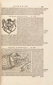 Sivu 983, Cosmographiae Universalis, Sebastian Muenster, Basel, 1572 tekijältä Swiss School