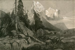 Wellhorn ja Wetterhorn tekijältä Swiss School