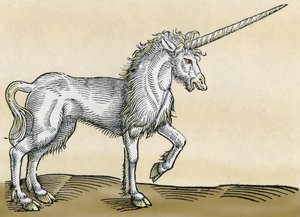 Yksisarvinen, Conrad Gesnerin kuvitus Historia Animaliumista, 1551