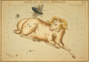 Oinas ja Musca Borealis, kuvitus "Uranian peilistä"