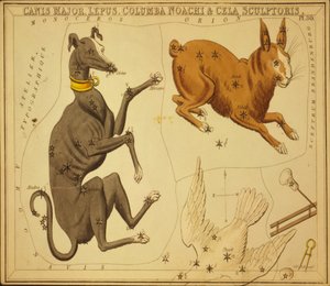 Canis Major, Kani, Columba Noah & Cela Sculptor, Kuvitus Uranian peilistä