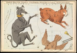 Canis Major. Lepus, Columba Noachi  Cela Sculptoris, n.1825 (kortti, paperi, kudos).