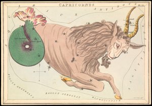 Capricornus, n.1825 (kortti, paperi, kudos )