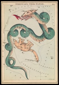 Draco ja Ursa Minor, n.1825 (kortti, paperi, kudos ) tekijältä Sydney Hall